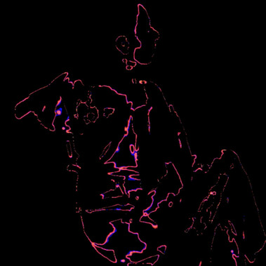 Squiggles of pink and blue spin upwards on the screen. The background is black. The subject has been warped to simplistic, colourful lines and abstract shapes