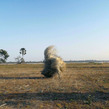 The image is of a dry, vast field with trees on the left side of the frame. A circular haystack-like structure is in the centre of the frame.